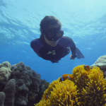 Нов документален Discovery Original филм „Под повърхността: Спасяването на коралите“ с премиера на Деня на Земята